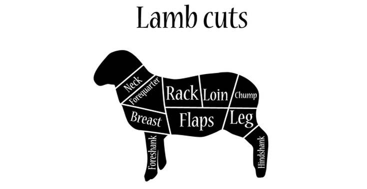 Lamb